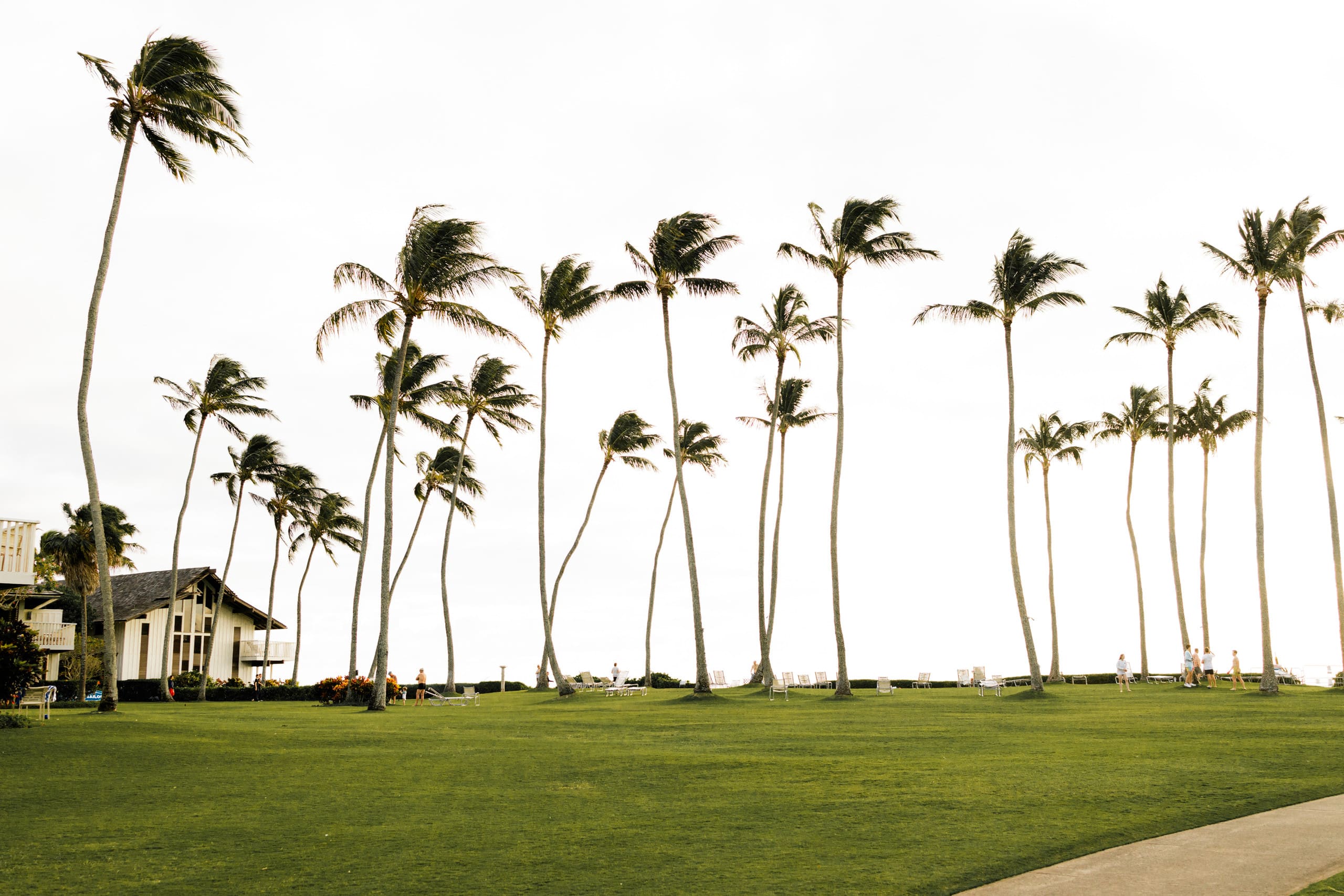 Condo in Koloa · ★4.99 · 1 bedroom · 2 beds · 1 bath - Photo 57