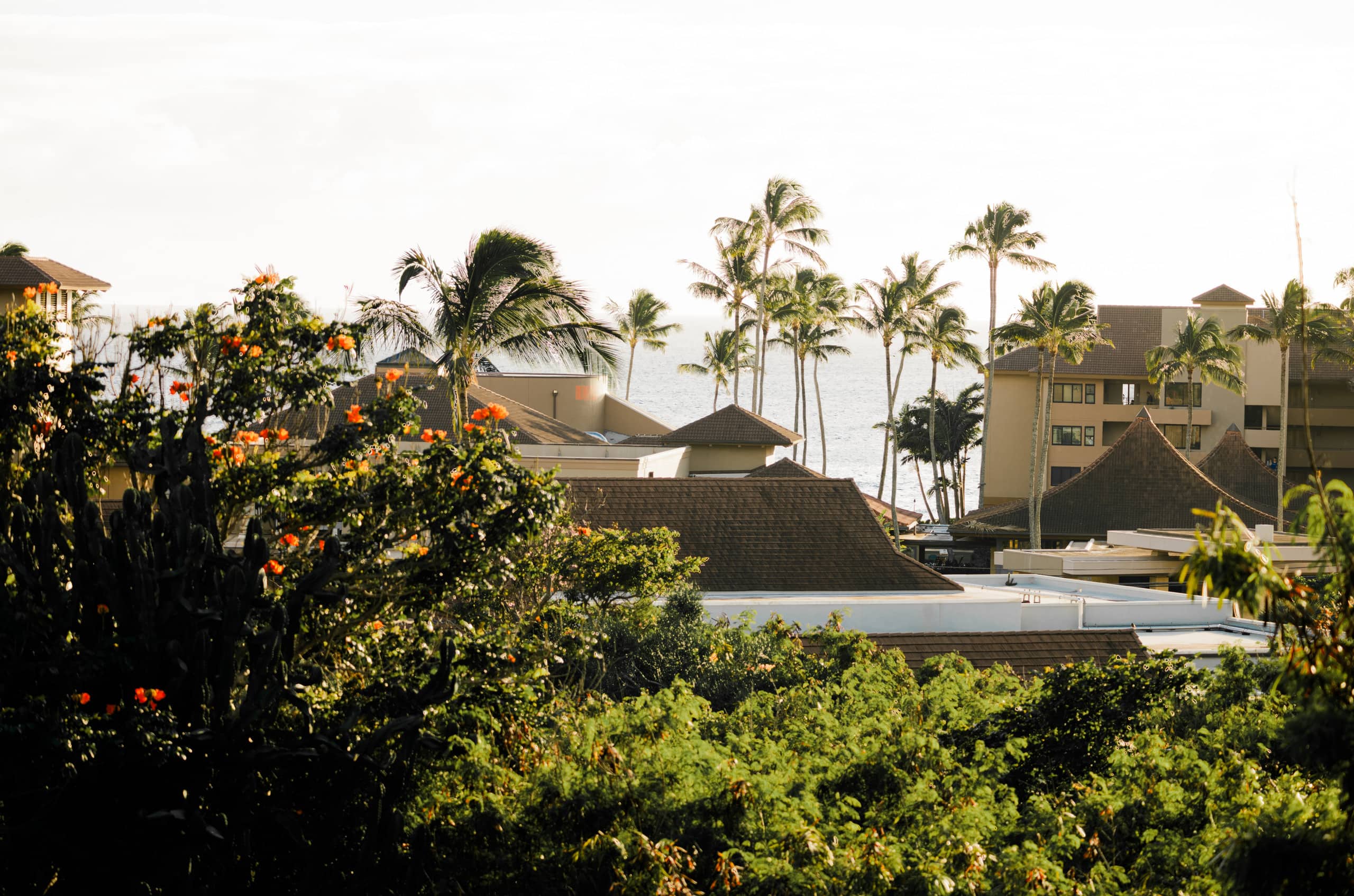 Condo in Koloa · ★4.99 · 1 bedroom · 2 beds · 1 bath - Photo 41