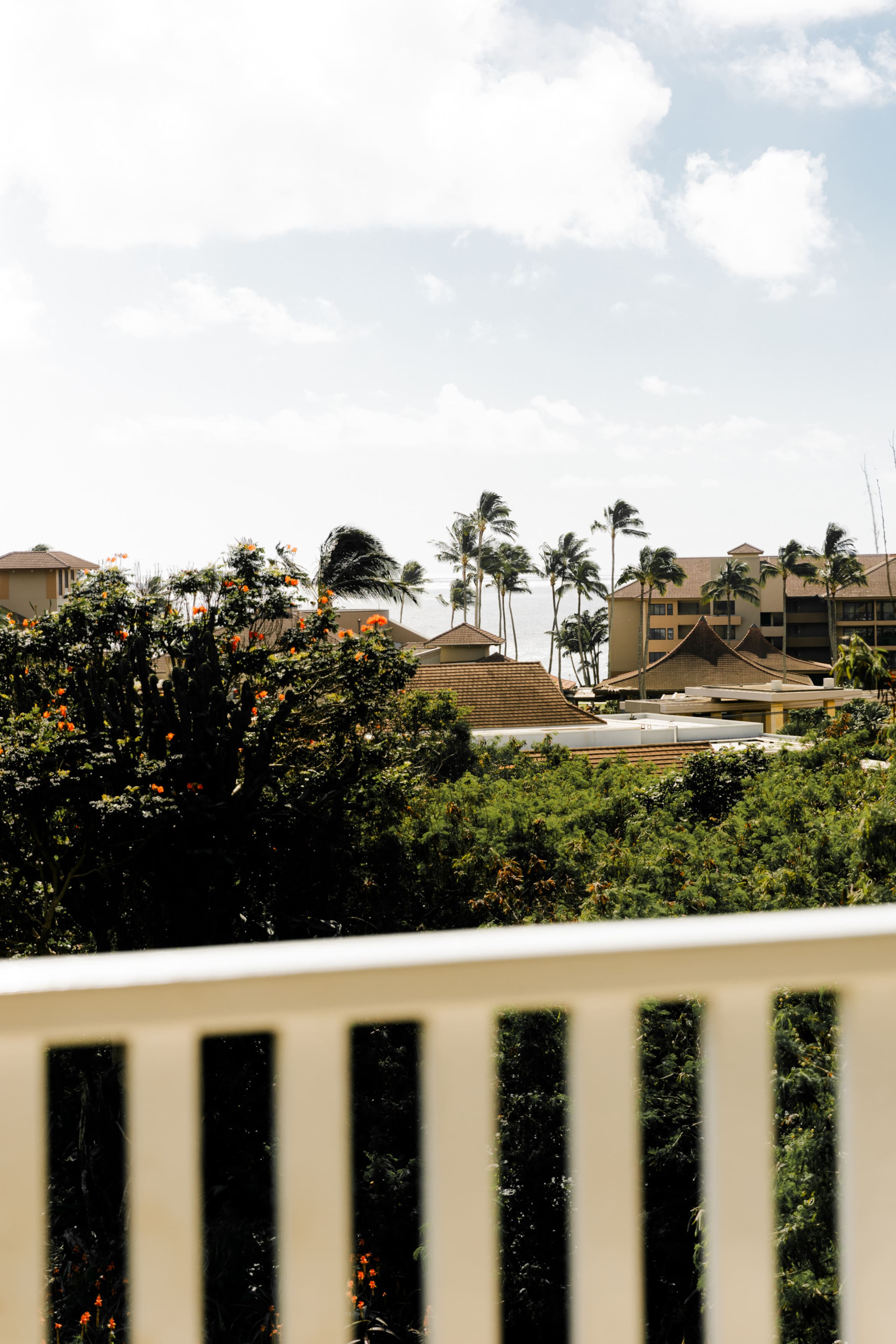 Condo in Koloa · ★4.99 · 1 bedroom · 2 beds · 1 bath - Photo 42