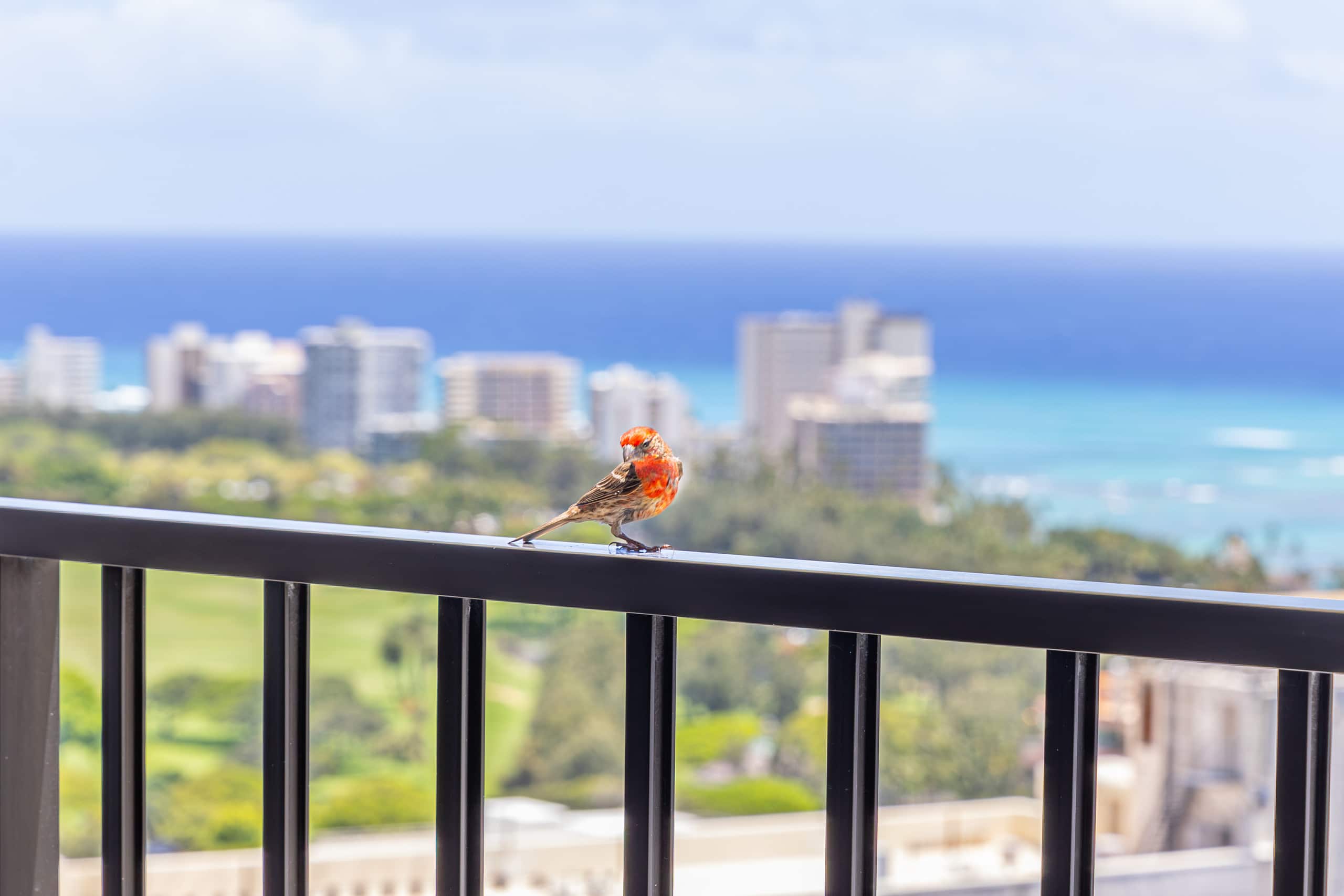 Condo in Honolulu · ★4.87 · 1 bedroom · 3 beds · 1 private bath - Image 48