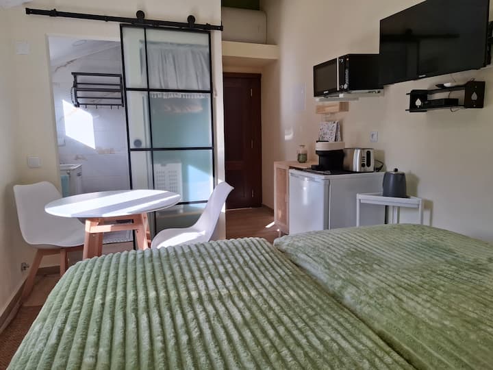 Chambre 2 - Chambre double, suite privée, avec fenêtres et vue sur le jardin, salle d'eau avec douche, petite armoire, réfrigérateur, petits appareils pour les repas rapides. Plateau et couverts sont fournis.