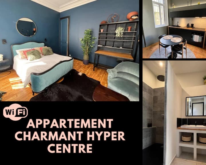 Superbe Appartement Au Coeur De Caen - Caen