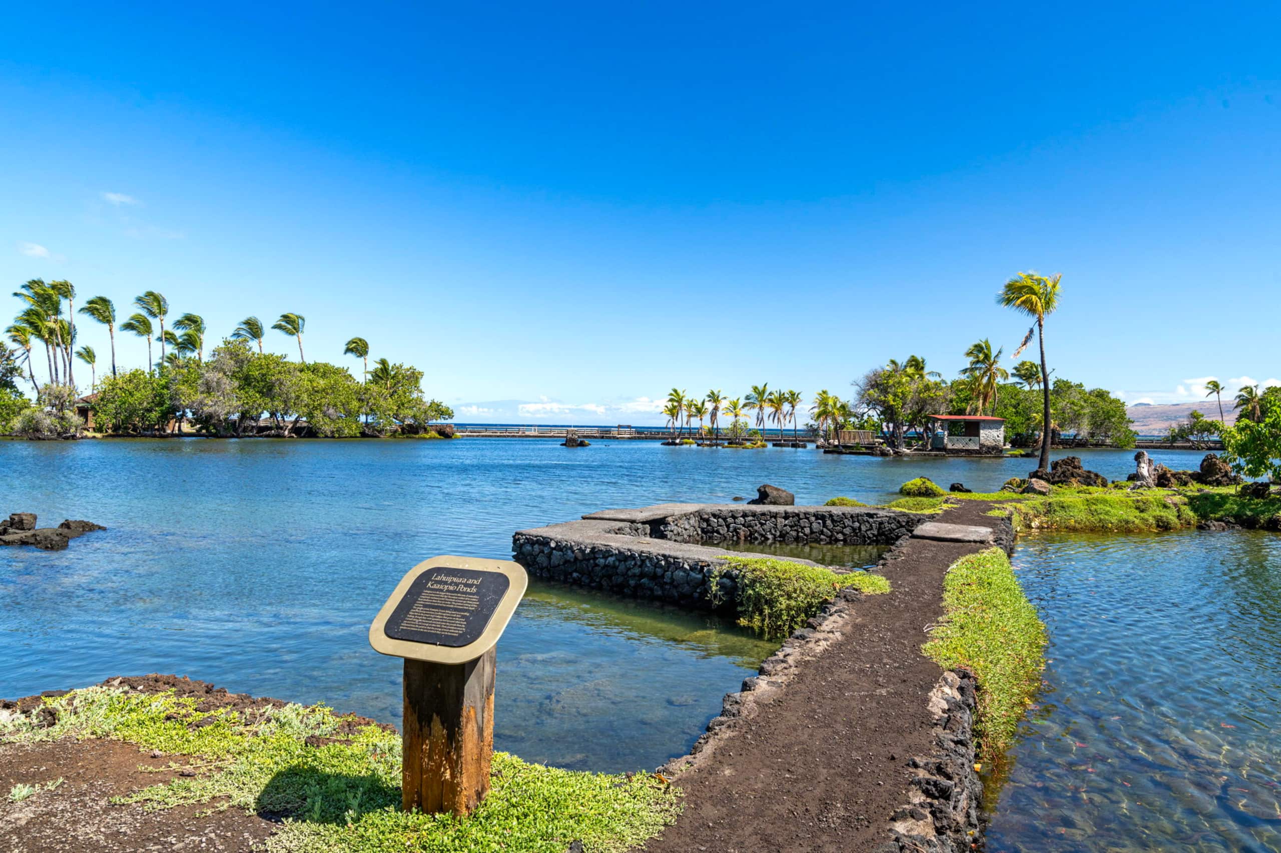 Condo in Waimea · ★5.0 · 3 bedrooms · 3 beds · 3 private baths - Image 70