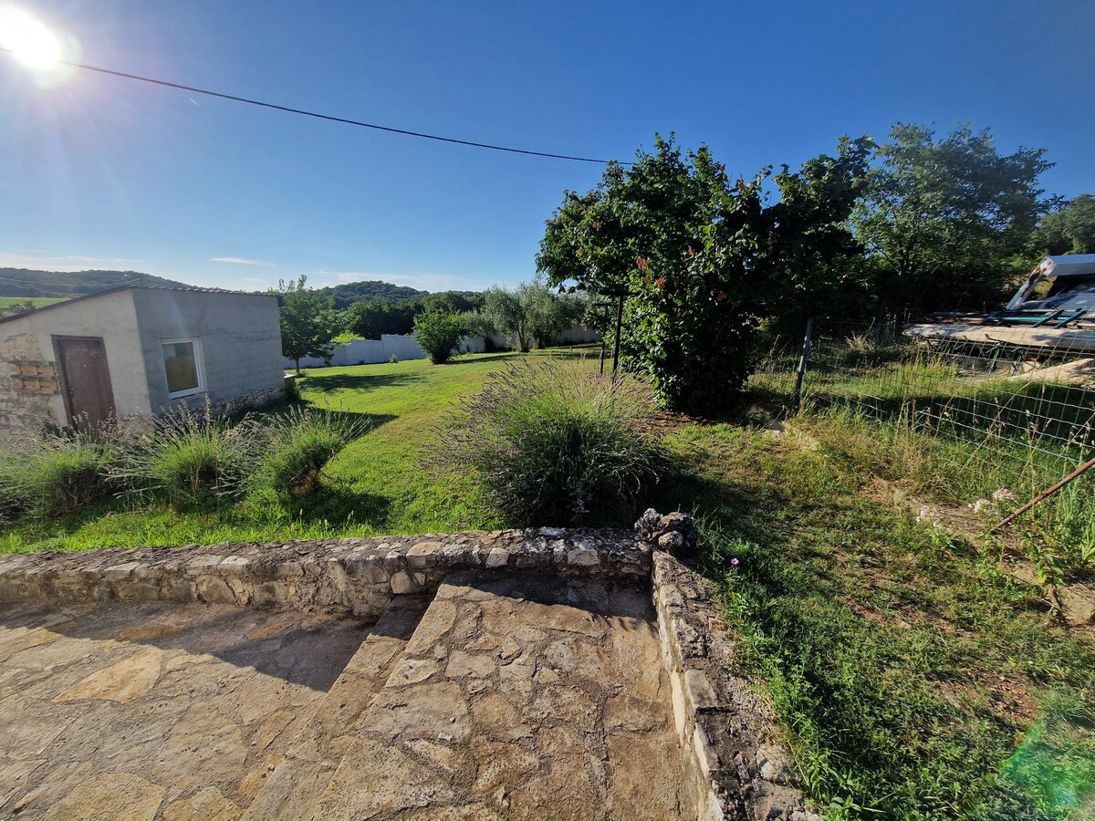 1B · Apartment Porec T&T