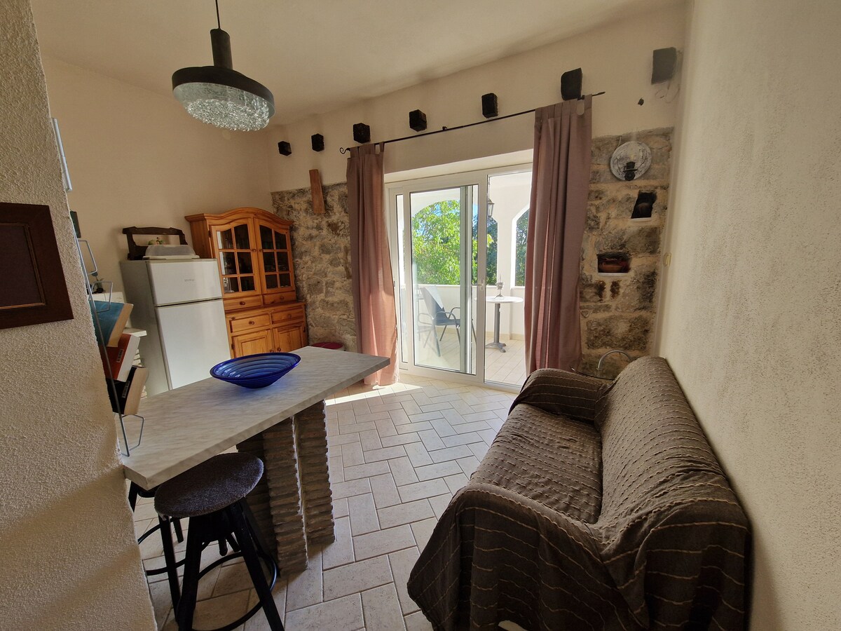 1B · Apartment Porec T&T