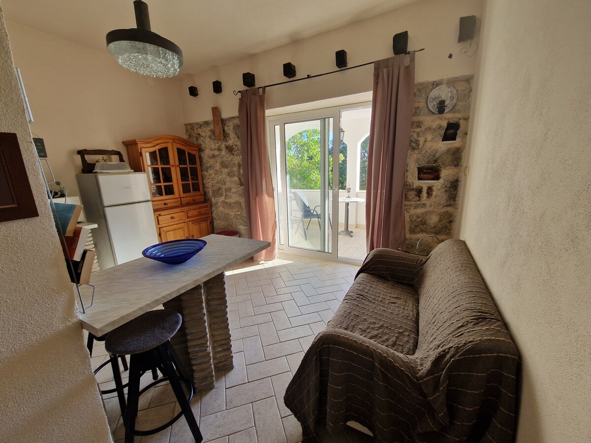 1B · Apartment Porec T&T
