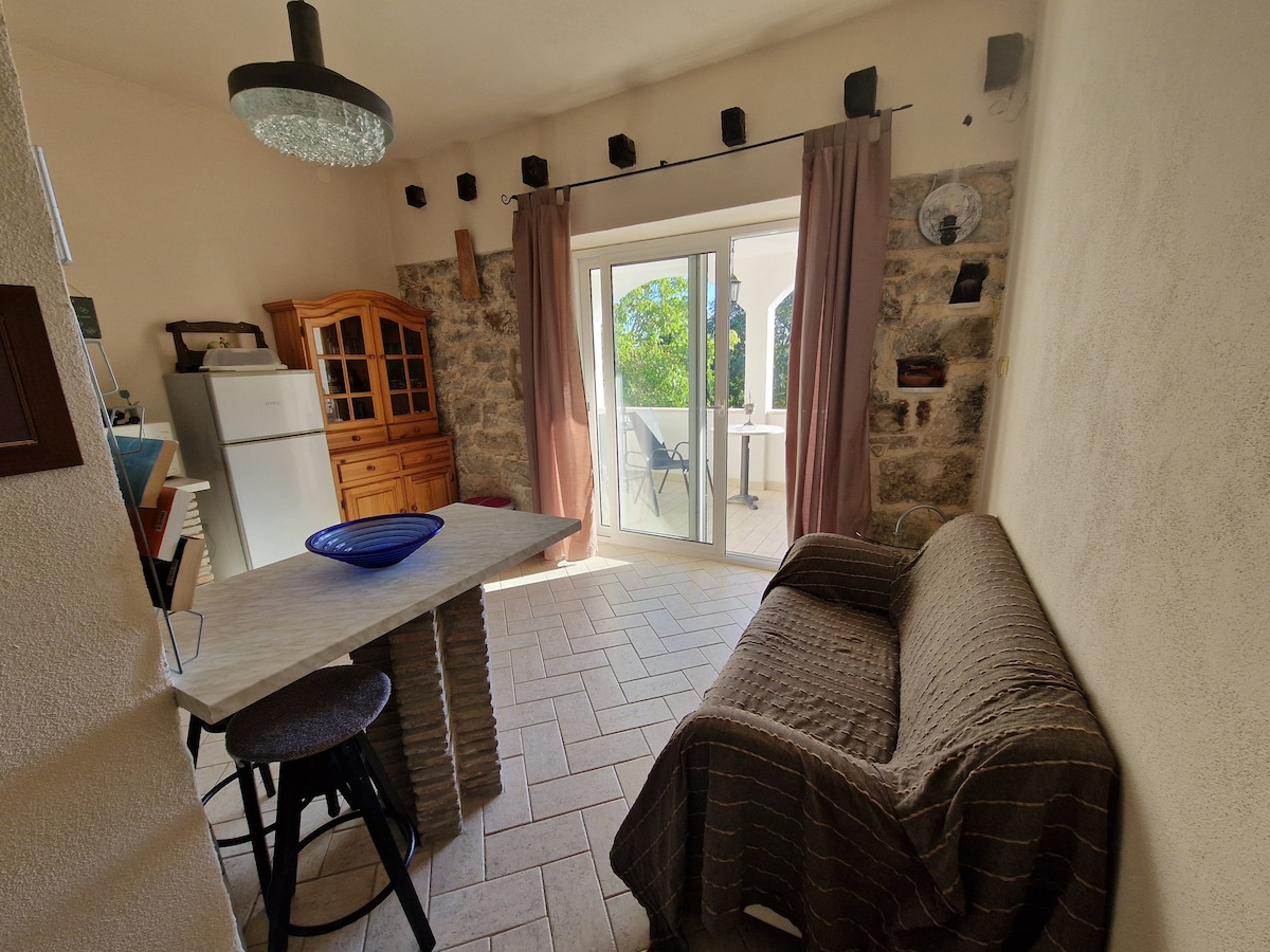 1B · Apartment Porec T&T