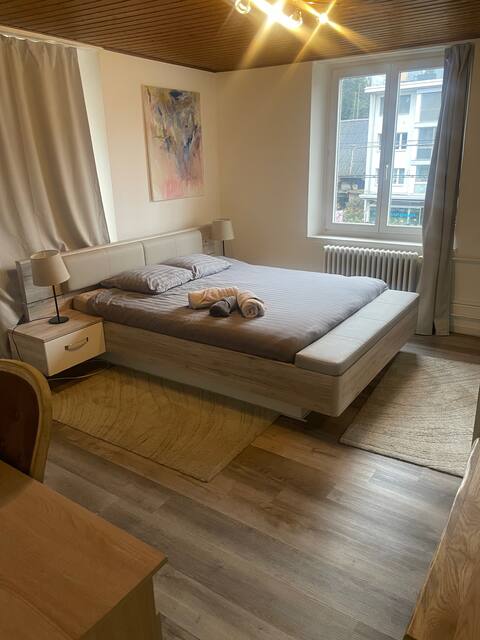 Furnished Apartment with 2 sleeping rooms in Basel