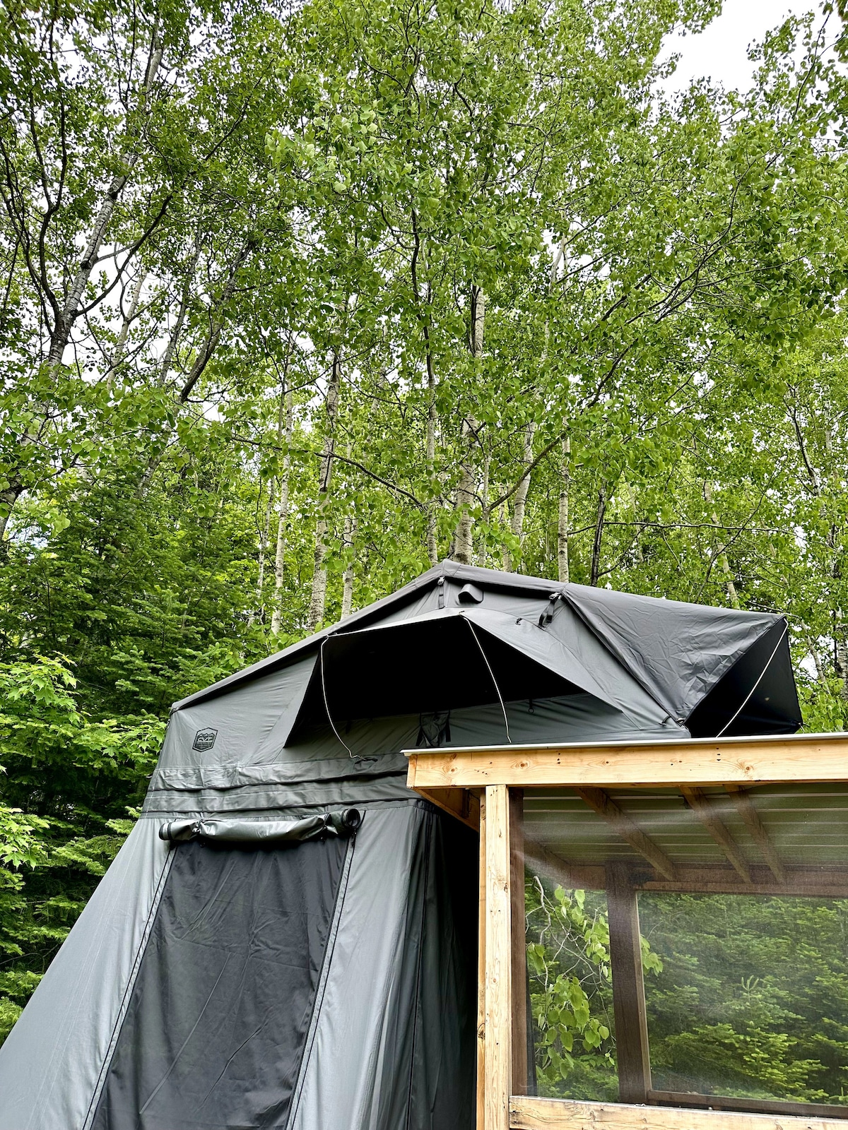 A rooftop tent is positioned atop a wooden shelter, surrounded by lush green trees. The tent features a dark, weather-resistant fabric, with a partially opened flap, allowing glimpses of the outdoor canopy above. The structure's lower section is made of wood with large screened windows.