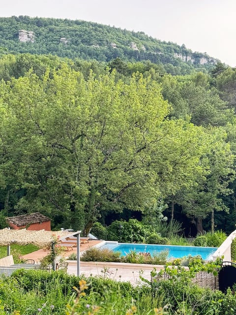 Enchanting home  and pool in the heart of Provence