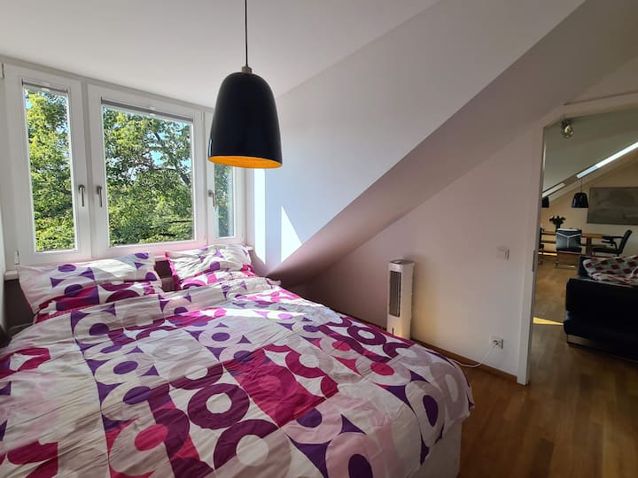 Habitación 1