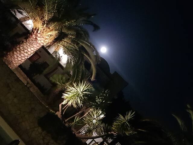 Villa Poggio di Luna con piscina privata gallery image 5