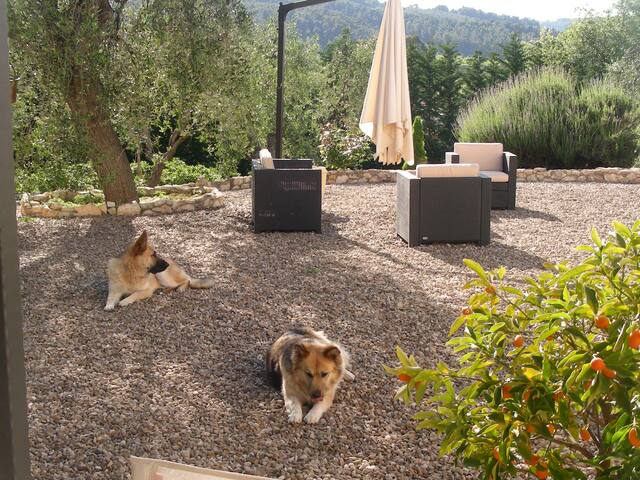 Villa Poggio di Luna con piscina privata gallery image 2