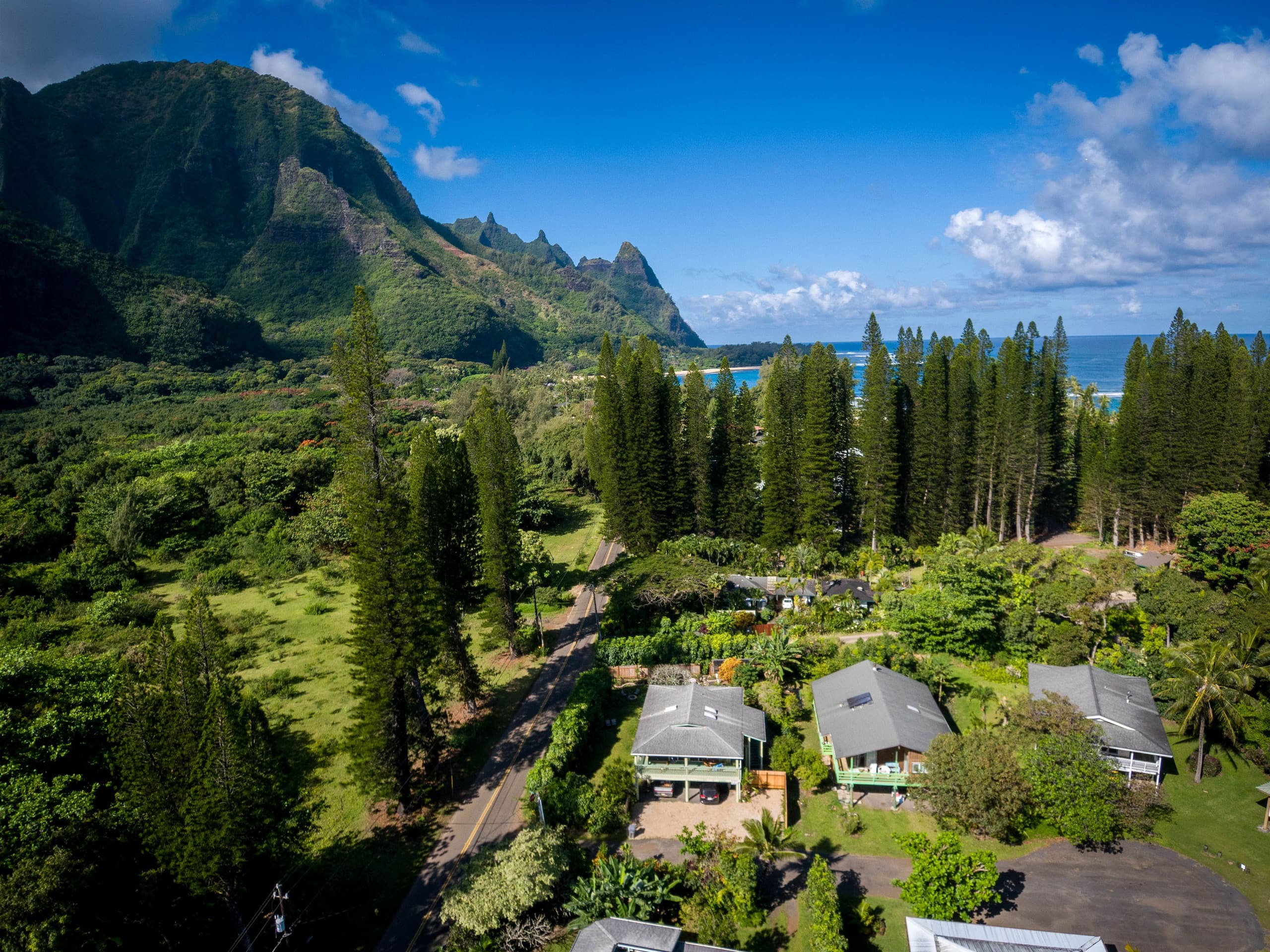 Home in Hanalei · ★5.0 · 2 bedrooms · 2 beds · 1.5 baths - Main photo