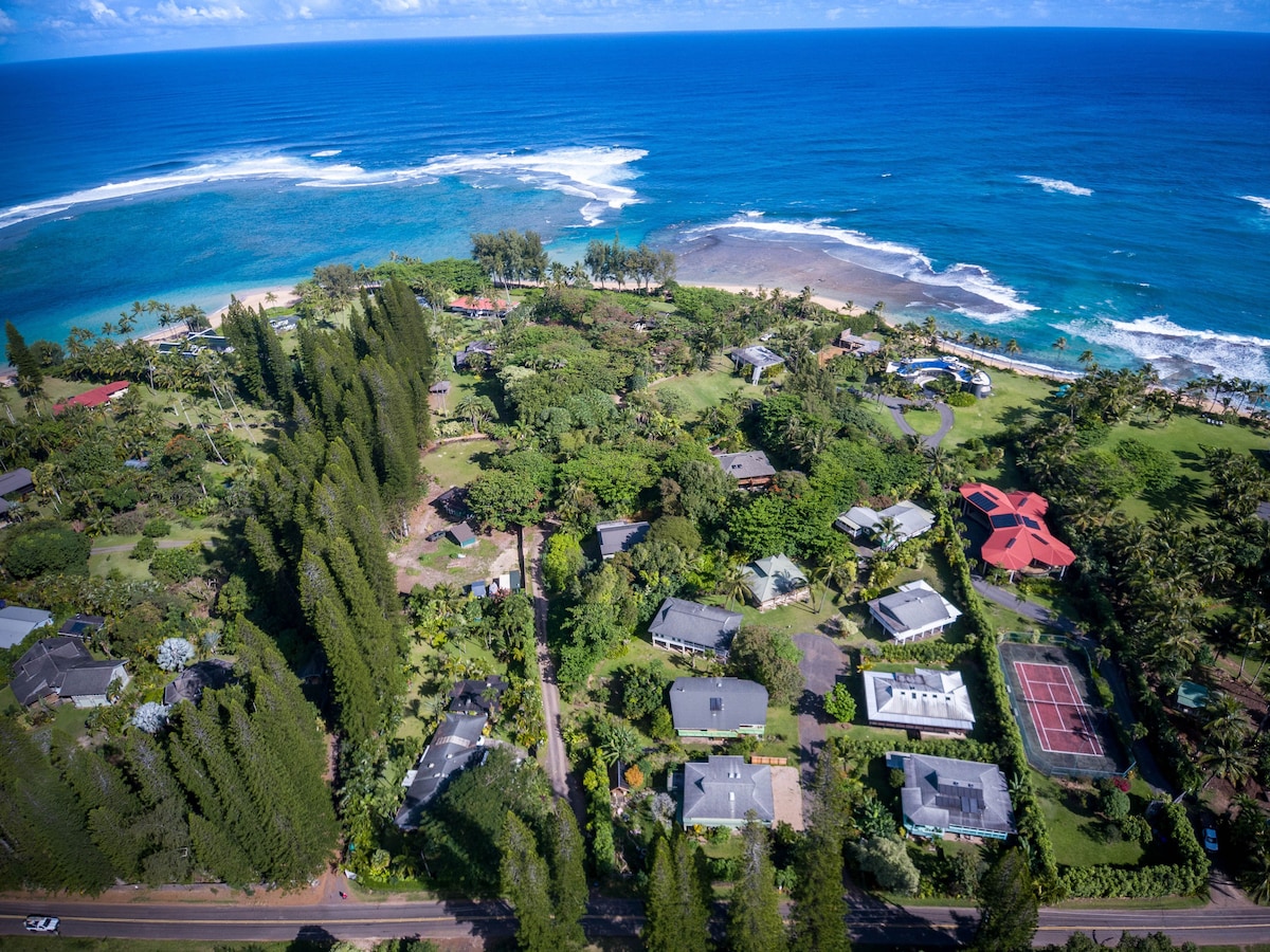 An aerial view captures a lush landscape bordered by the ocean. Sandy beach meets emerald greenery, showcasing sprawling properties nestled among trees. The coastline features gentle waves, providing a serene contrast to the vibrant surroundings. The layout of the area reflects a blend of natural beauty and residential charm.