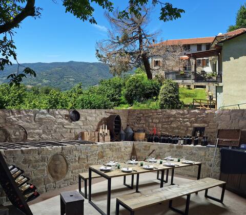 The Sun's Kennel – Belvedere