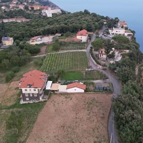 Successful Airbnb property: The cottage in Naples