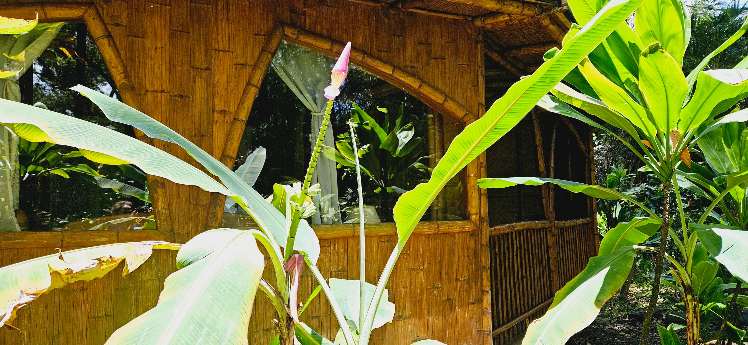 Hawaiian DreamTemple- Tropical Oasis BBPH20120004 - Image 36