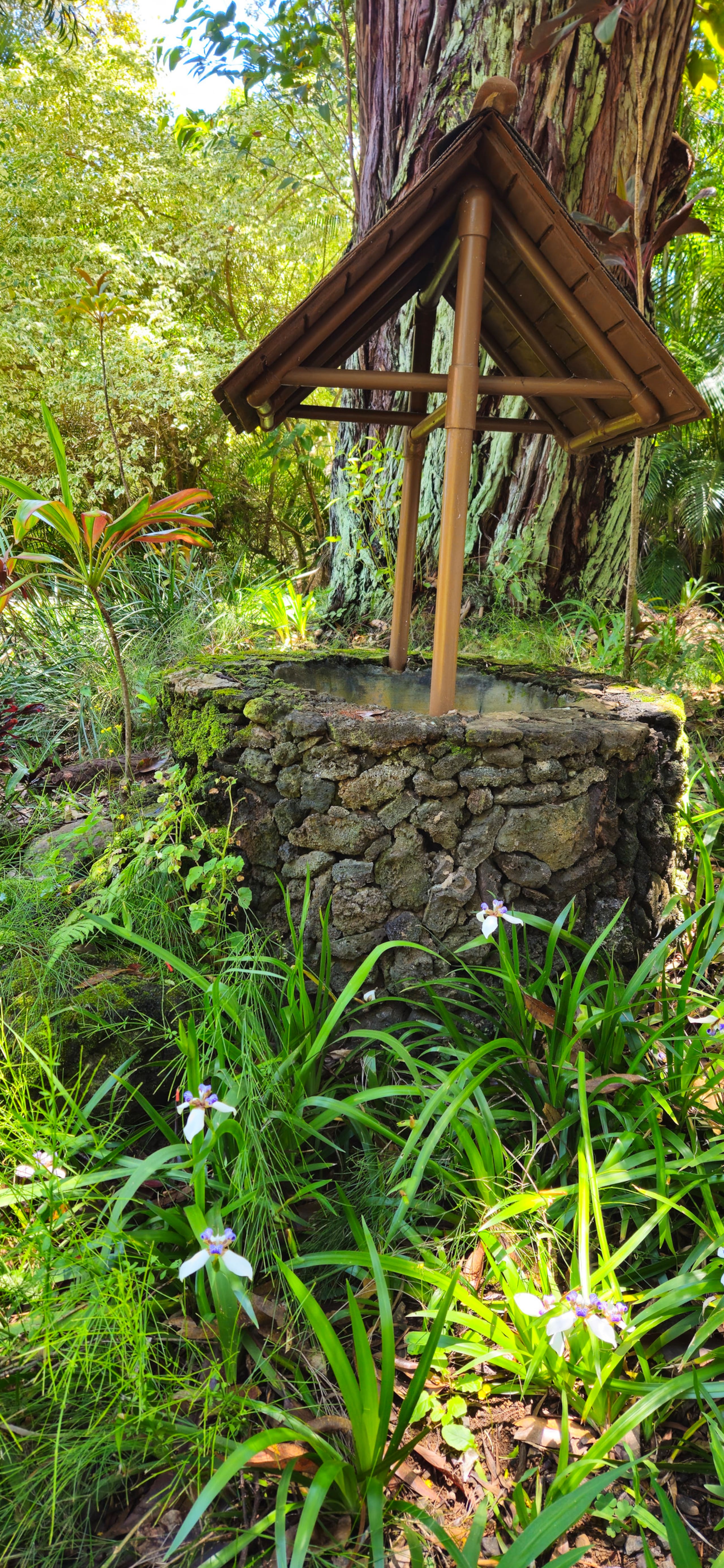 Hawaiian DreamTemple- Tropical Oasis BBPH20120004 - Image 45