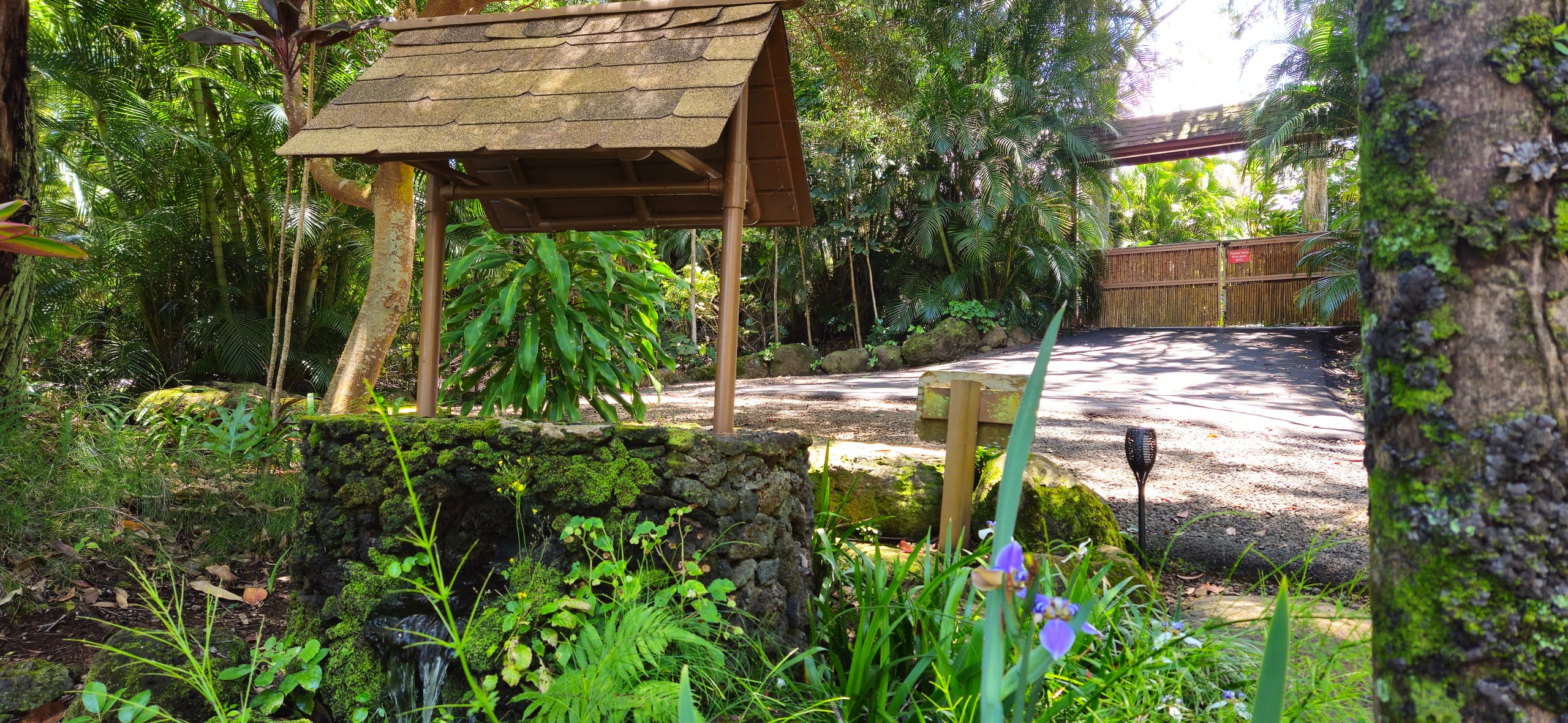 Hawaiian DreamTemple- Tropical Oasis BBPH20120004 - Image 43