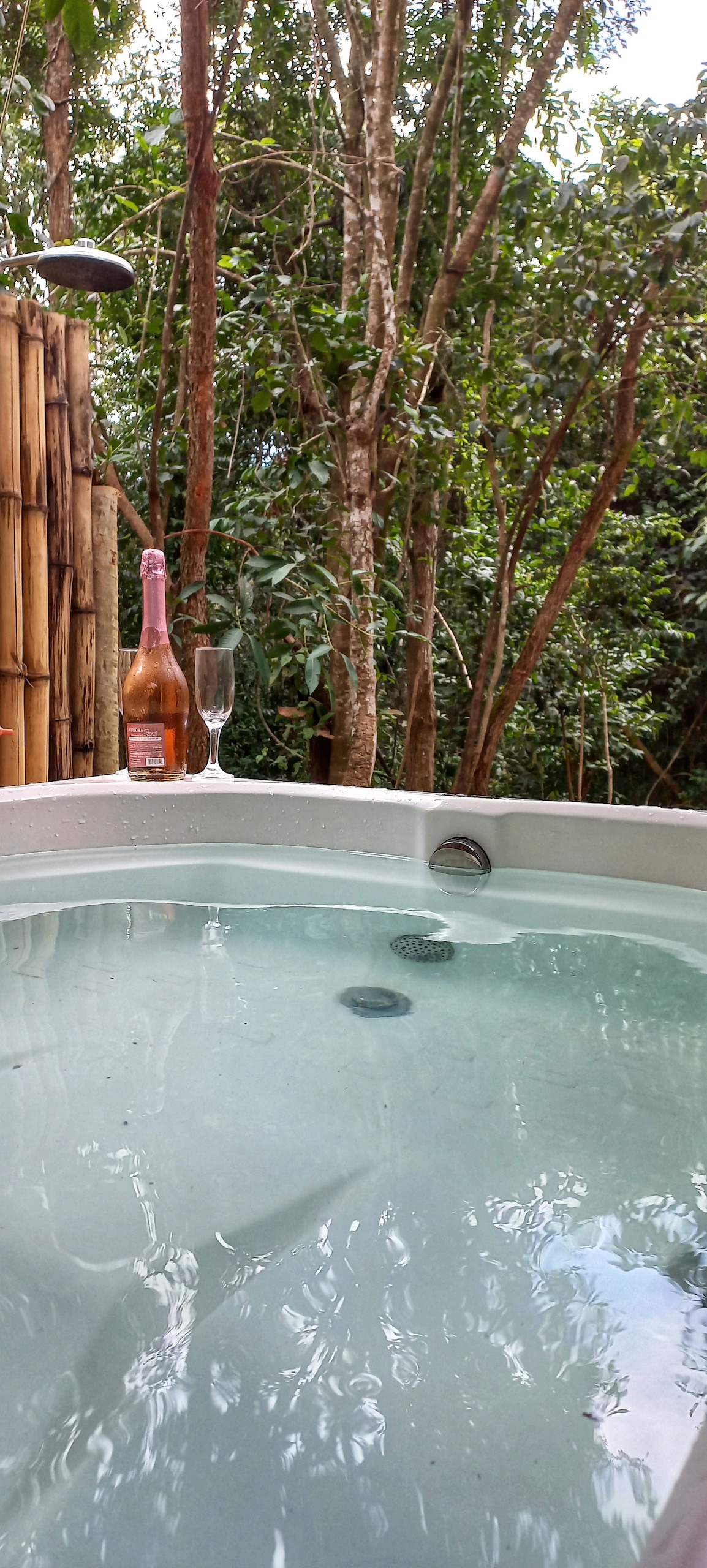 An outdoor hot tub is surrounded by lush greenery, creating a serene atmosphere. A bottle of sparkling wine and two glasses are positioned on the edge, inviting relaxation amidst nature. Tall trees frame the scene, enhancing the feeling of privacy.
