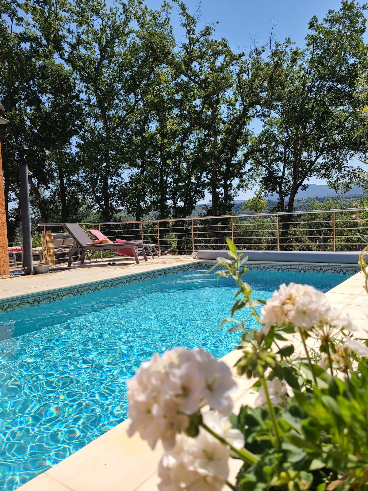 A well-maintained swimming pool is surrounded by a sun terrace featuring loungers and vibrant flowers. The clear blue water reflects the sunlight, with a backdrop of trees and distant mountains visible in the background.