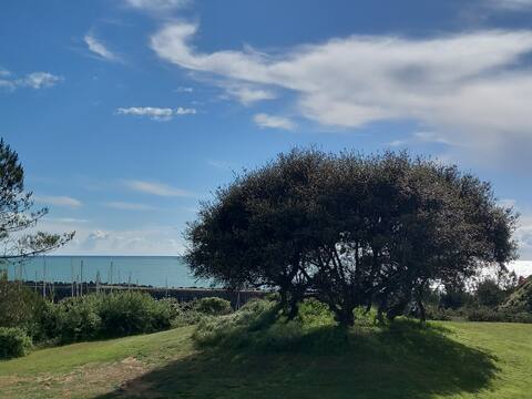 Airbnb performant: 2-room apartment with sea and golf course views à Talmont Saint Hilaire