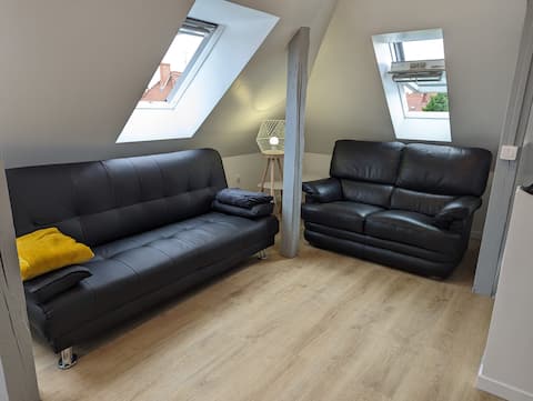 Airbnb performant: Attics of Old Schilig à Schiltigheim