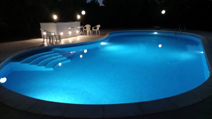 Spacious Villa with private pool in olive groves gallery image 4