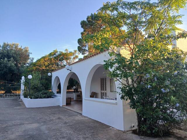 Spacious Villa with private pool in olive groves gallery image 3