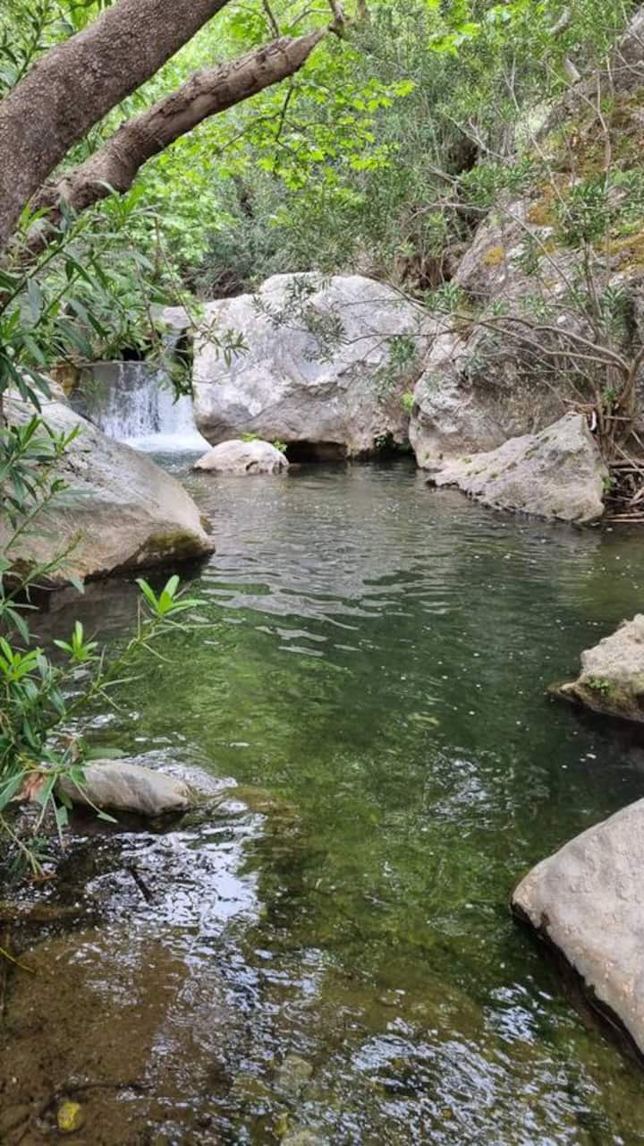 "Terra" - Orieni - House In Nature - Plakias
