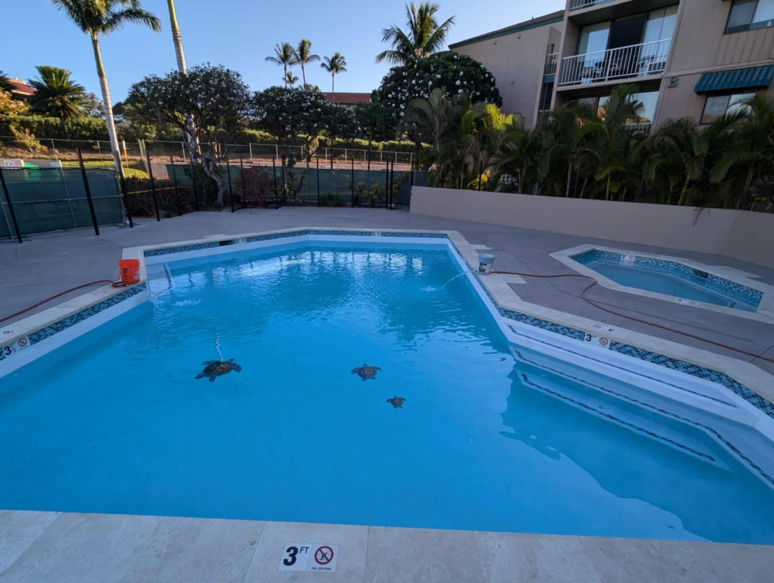 3bd 3bth FULL AC Hot Tub Pool Kamaole Beach Condo - Image 8