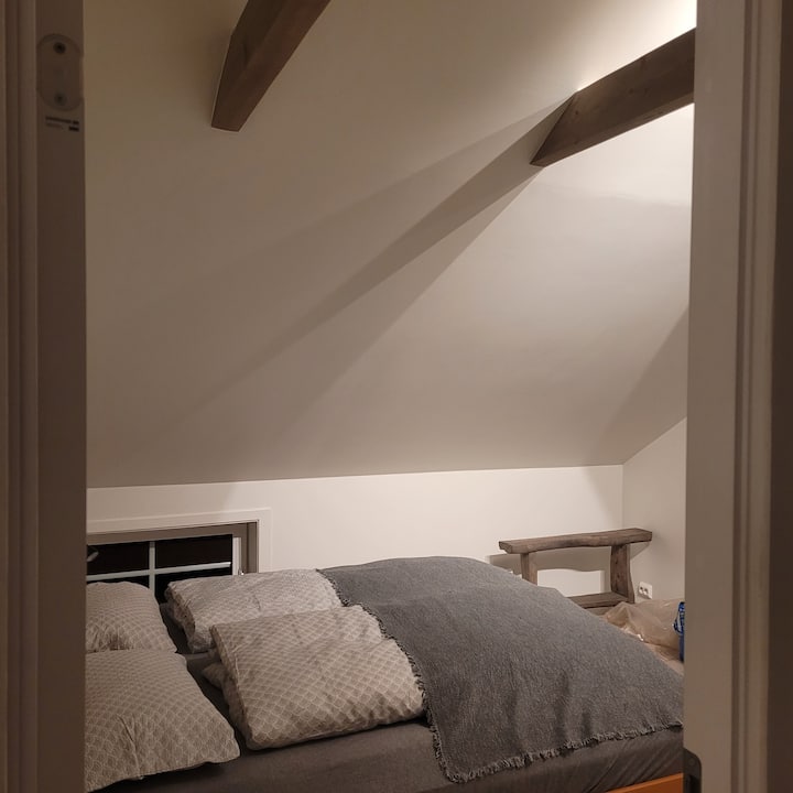 Okúzľujúce a originálne trámy v strope. 