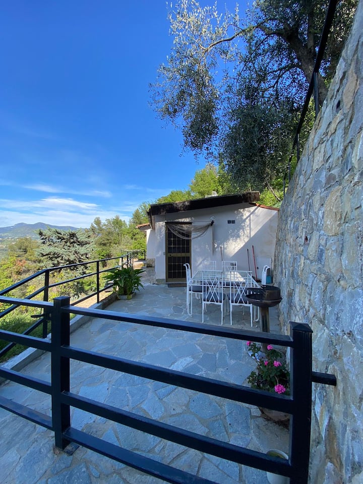 The House of the Olives