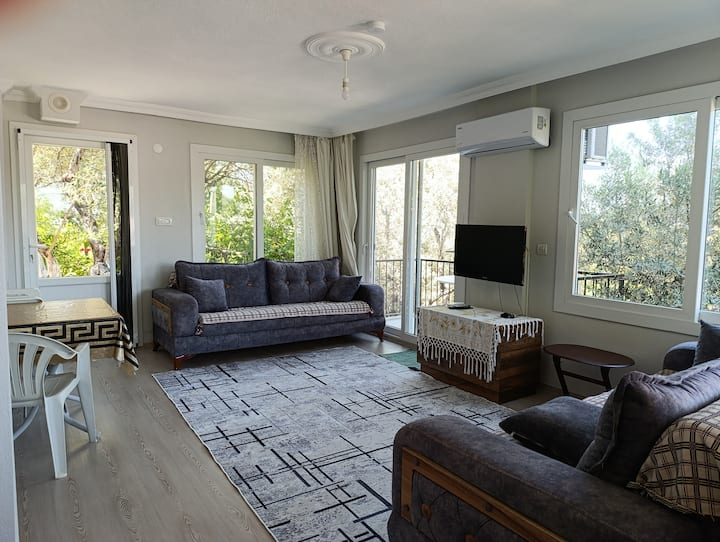 Olive Grove Mansion - Kosedere Holiday Home - Karaburun