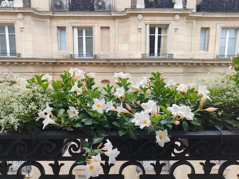 Successful Airbnb property: Family apartment – Trocadéro in Paris