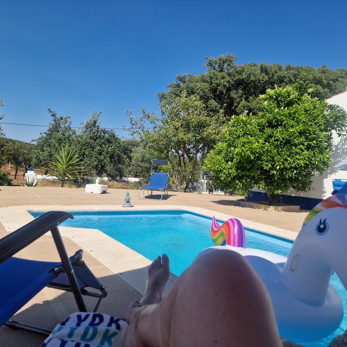A calm outdoor area features a swimming pool with a colorful unicorn float nearby. Sun loungers are arranged around the pool, providing shaded spots under green trees. The backdrop includes lush vegetation, contributing to a serene and inviting atmosphere.