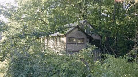 Secluded Magic Treehouse Escape