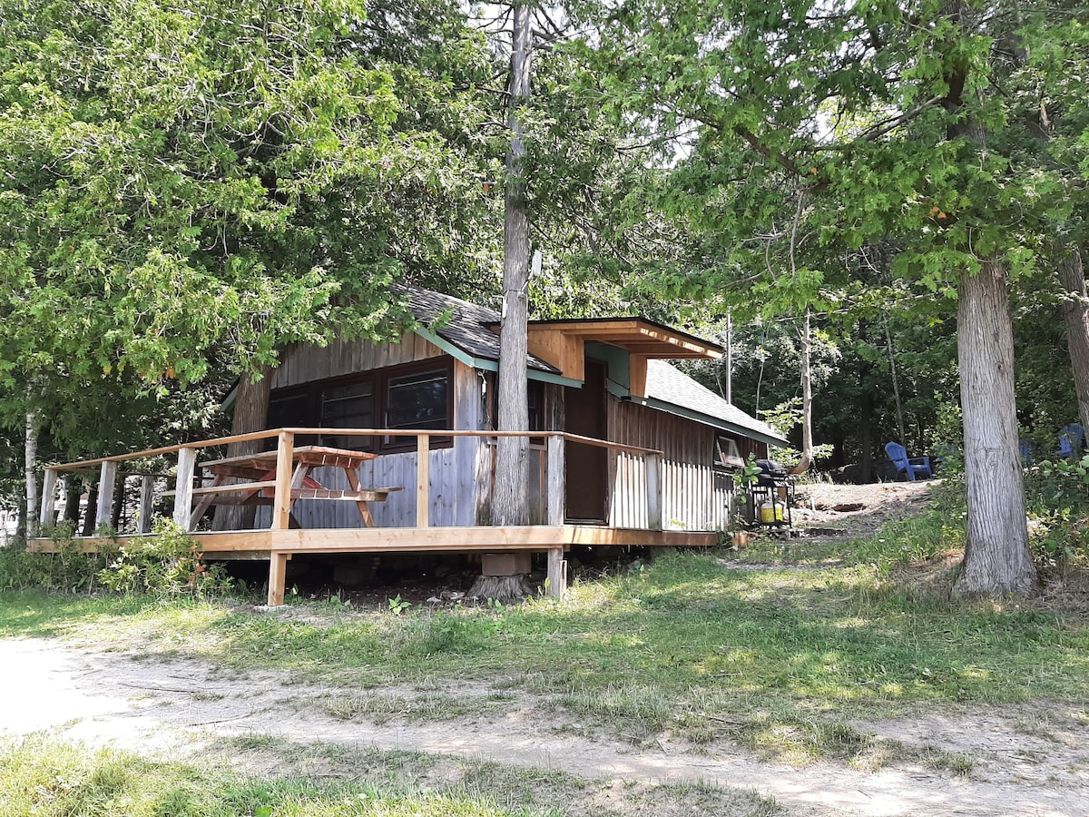 A rustic cabin is nestled among trees, featuring a wooden deck with a railing. The exterior showcases natural wood tones. A picnic table and chairs are visible on the deck, while the surrounding area is grassy and shaded by large trees.