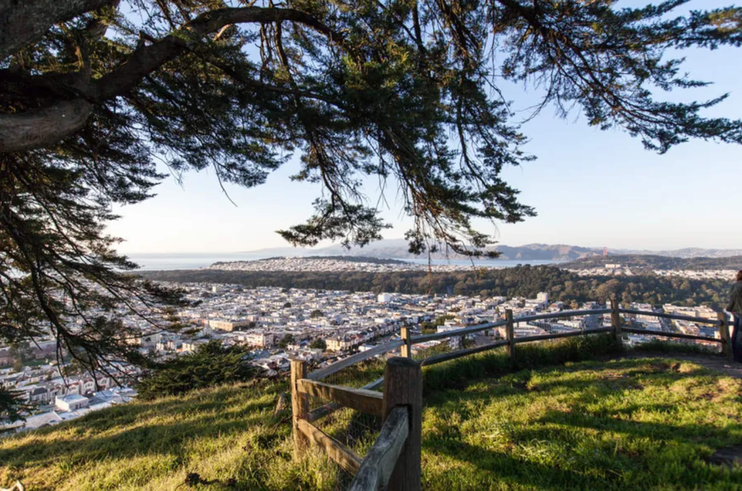 Home in San Francisco · ★4.98 · 3 bedrooms · 4 beds · 1 bath - Image 39