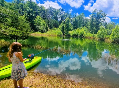 8-Acre Escape: Fishing Pond, Waterfalls, Disc Golf