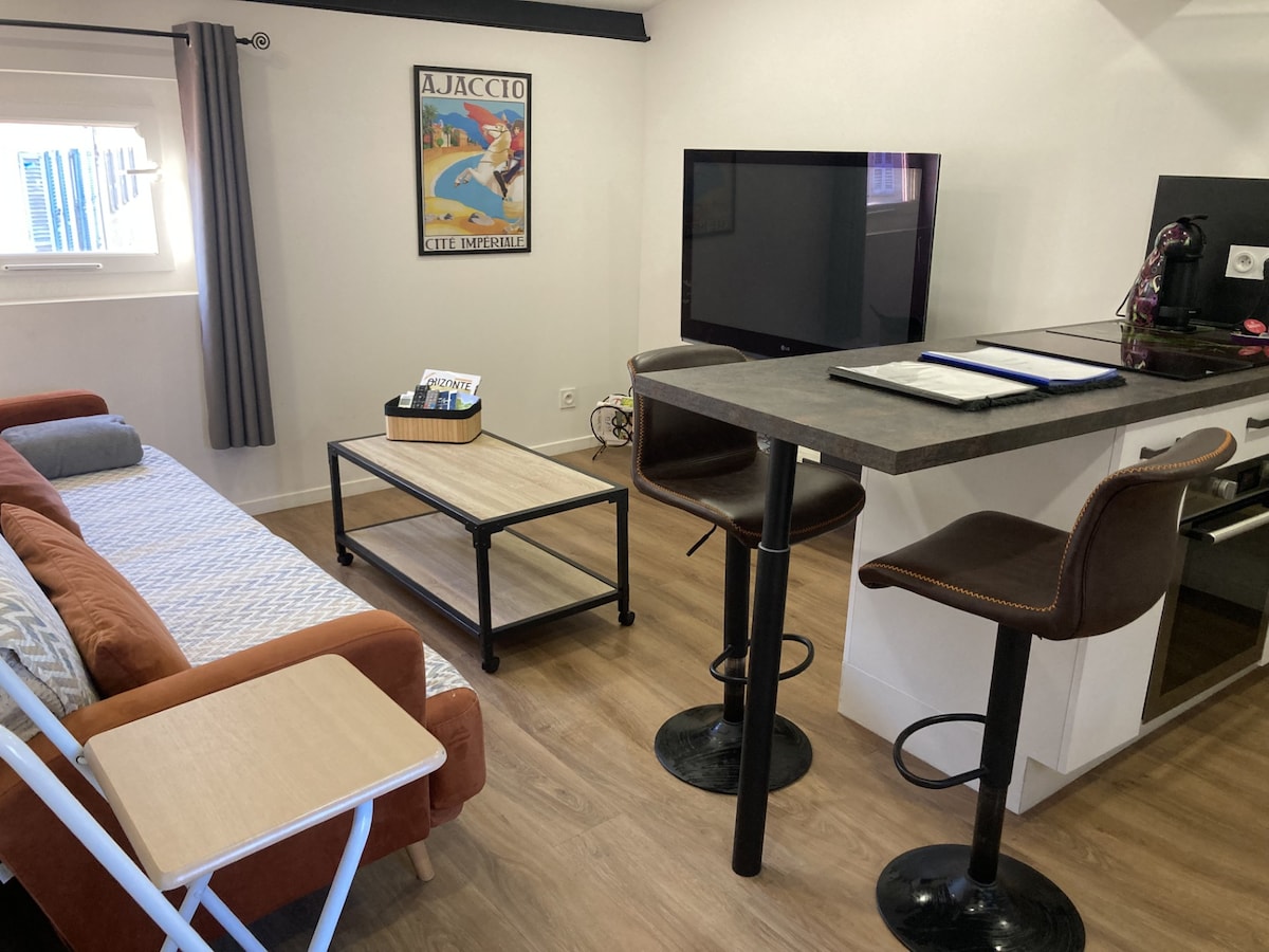 Propriété Airbnb réussie: F2 Type LOFT à Ajaccio
