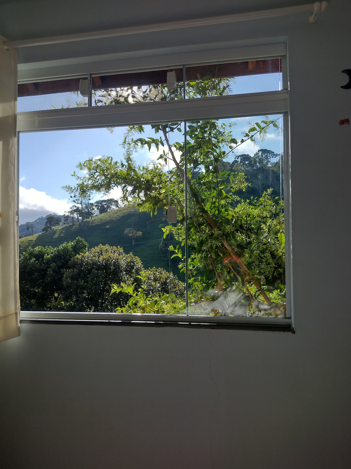 ხედი საწოლიდან !!!