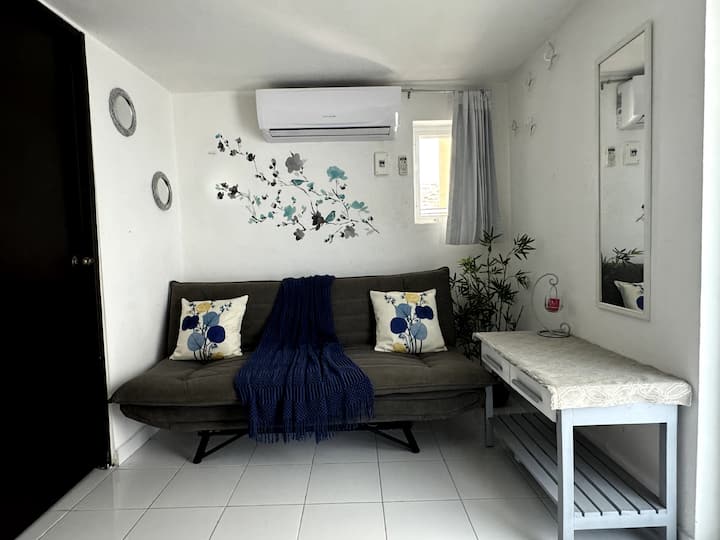 Მისაღები ოთახი ორადგილიანი გასაშლელი დივნით, რომელიც პატარა მისაღები ოთახის მსგავსად დნება. Მაგიდა ორი უჯრით, რომელიც მუშაობს, როგორც ამაოება სხეულის სარკესთან. იხილეთ კონდიციონერი და ბაღისკენ მიმართული ორი ფანჯრიდან ერთ-ერთი.