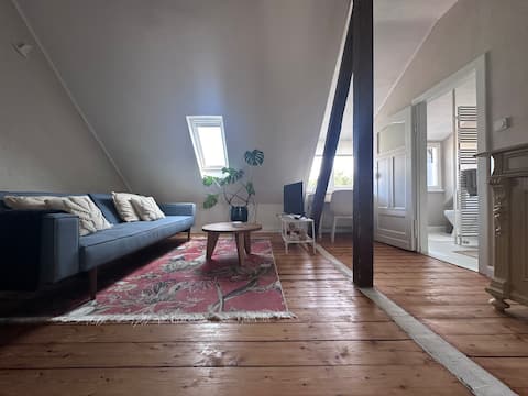 Cozy apartment in a city villa