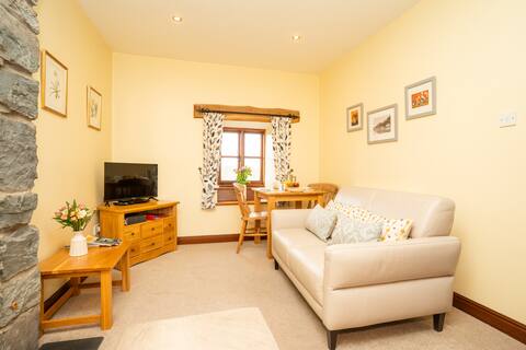 Successful Airbnb property: Llofft Allan horse Ystumgwern in Llanddwywe, Llanenddwyn