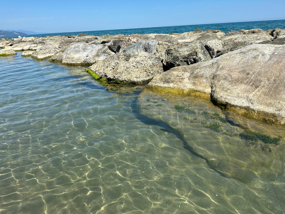 A clear view of rocky formations emerging from the gently lapping waves, with shallow waters reflecting the sunlight. The water appears to be calm, showcasing varying shades of green and blue, while the shoreline extends into the distance.