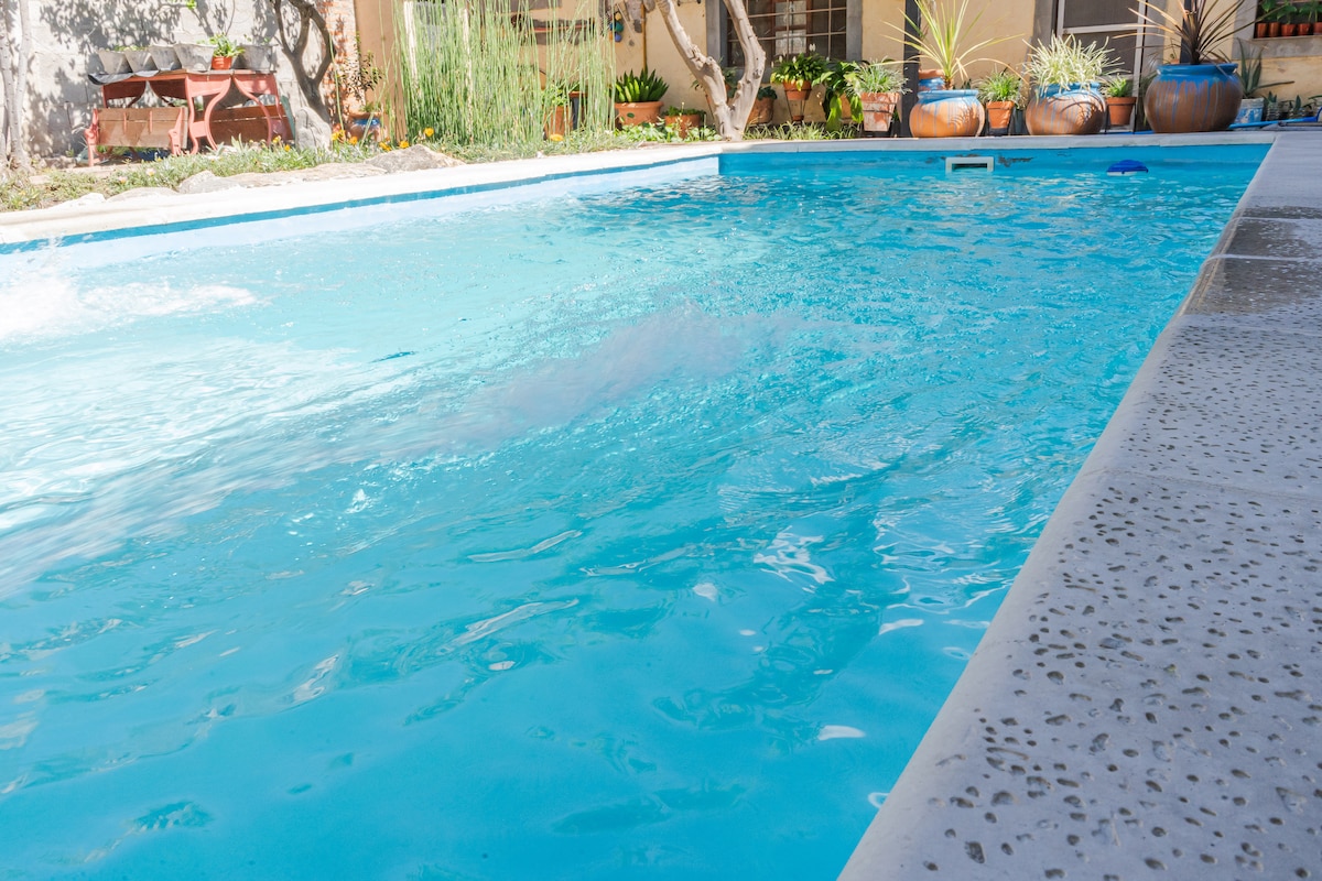 A clear blue pool is surrounded by a decorative patio and lush greenery. Heightened planters with various plants add a natural touch to the setting. Sunlight reflects off the water, creating a serene atmosphere suitable for relaxation.