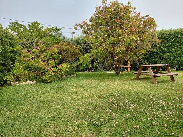 Frente/vista Mar, Wifi,piscina privada, 500m praia gallery image 4