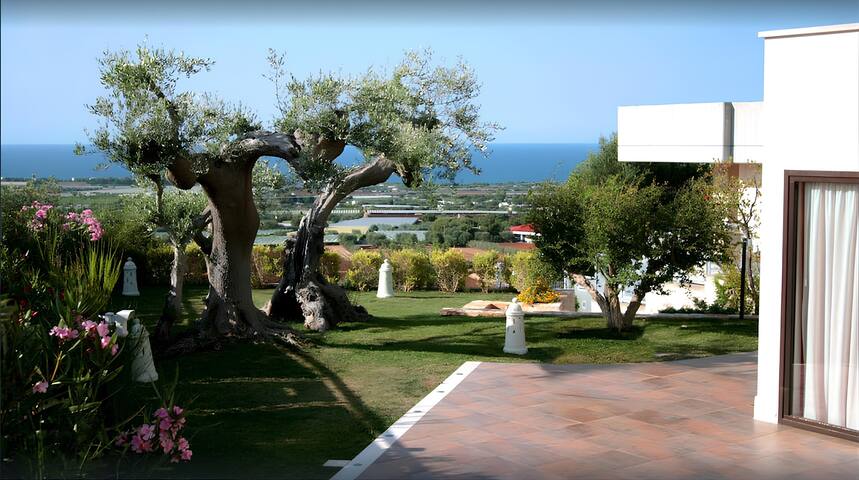 Piscina privata e vista mare panoramica gallery image 4